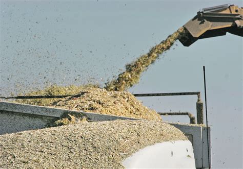 cilage|Silage